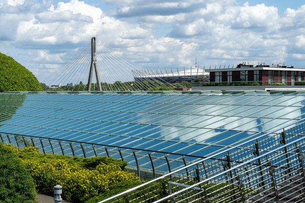 What's the Best Method for Building a Compact Green Roof on a Shed?